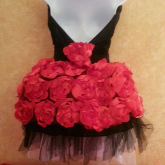 Red & Black Corset 3D Rosette Tutu Mini Dress - Picture 6 of 6